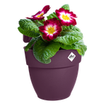 vibia campana easy hanger small porpora acero